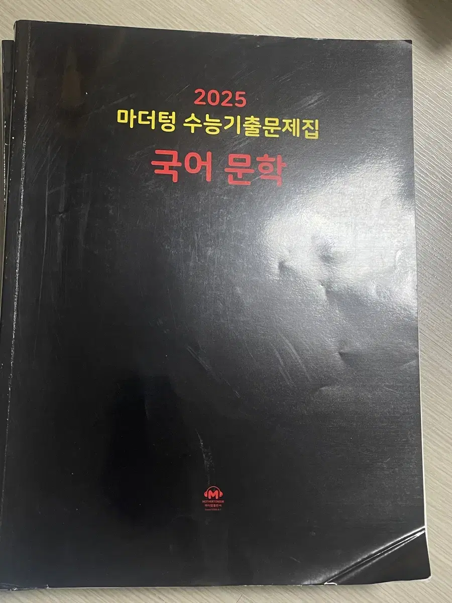 마더텅 2025 국어 문학